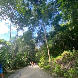 Meet your Posher, Abigail